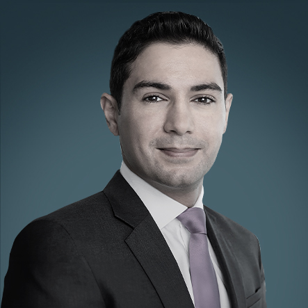 Yousef Gamal El-Din Yousef Gamal El-Din