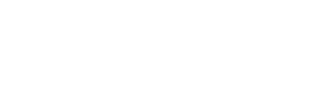Custom Logo
