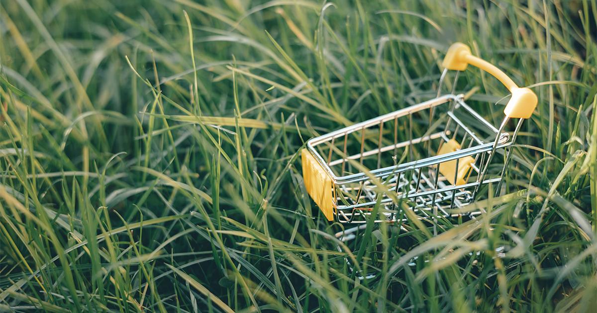 Small metal shopping cart resting on vibrant green grass field at RLC Global Forum.